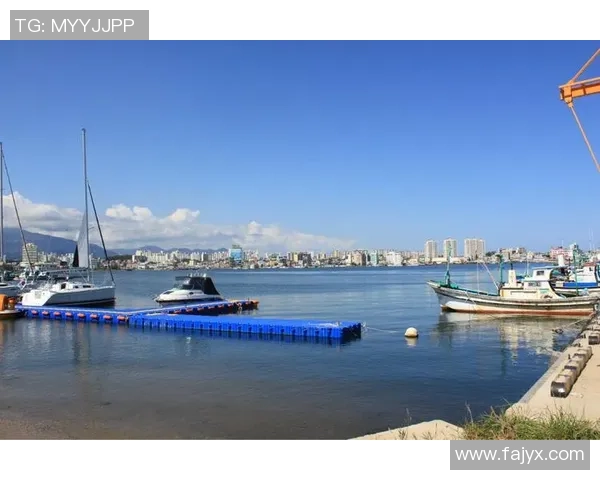 韩国国家联赛江陵对阵釜山运输的精彩赛事回顾与分析 韩国国家联赛江陵对阵釜山运输的精彩赛事回顾与分析